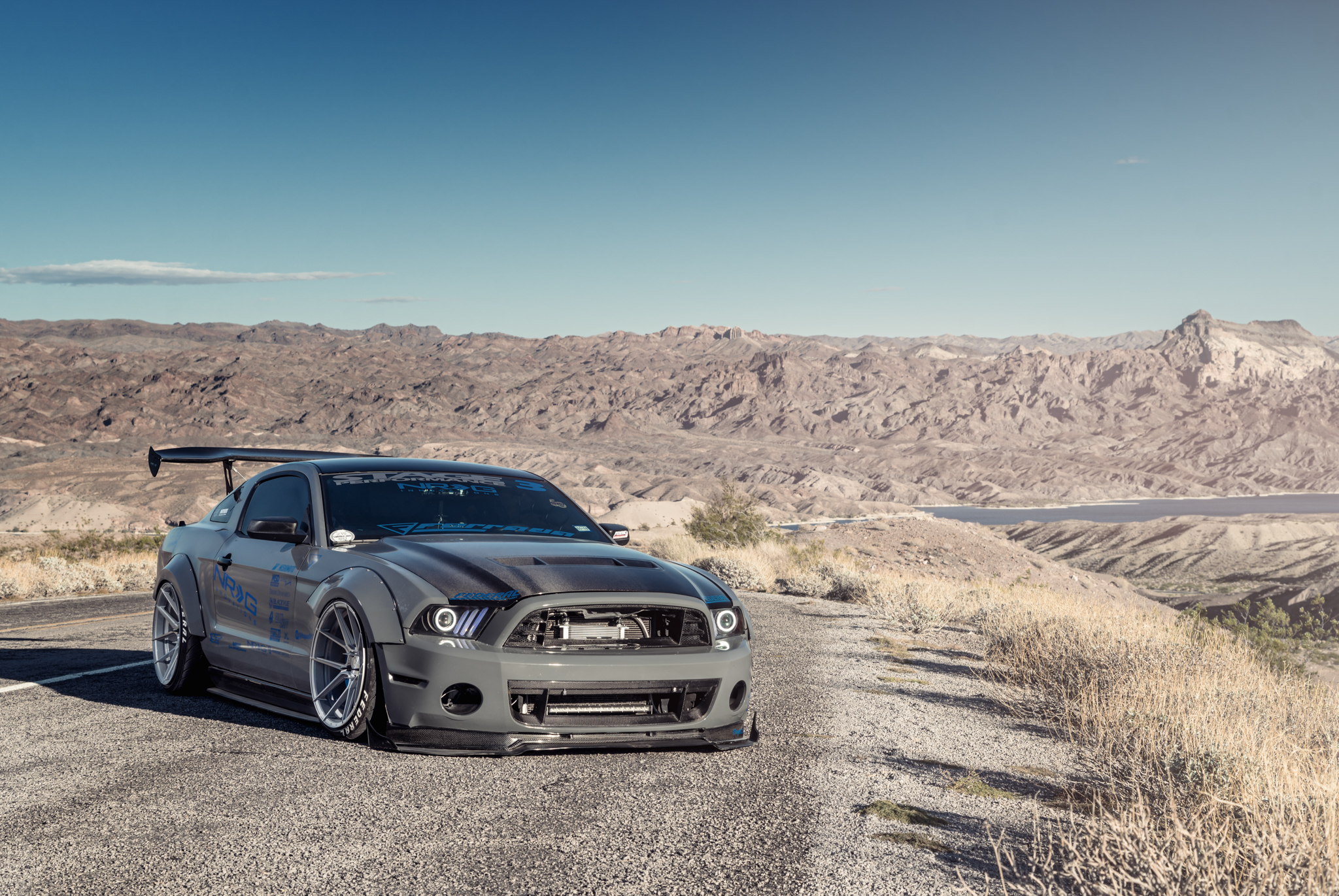 2014 Ford Mustang Widebody - FR8 Silver-8