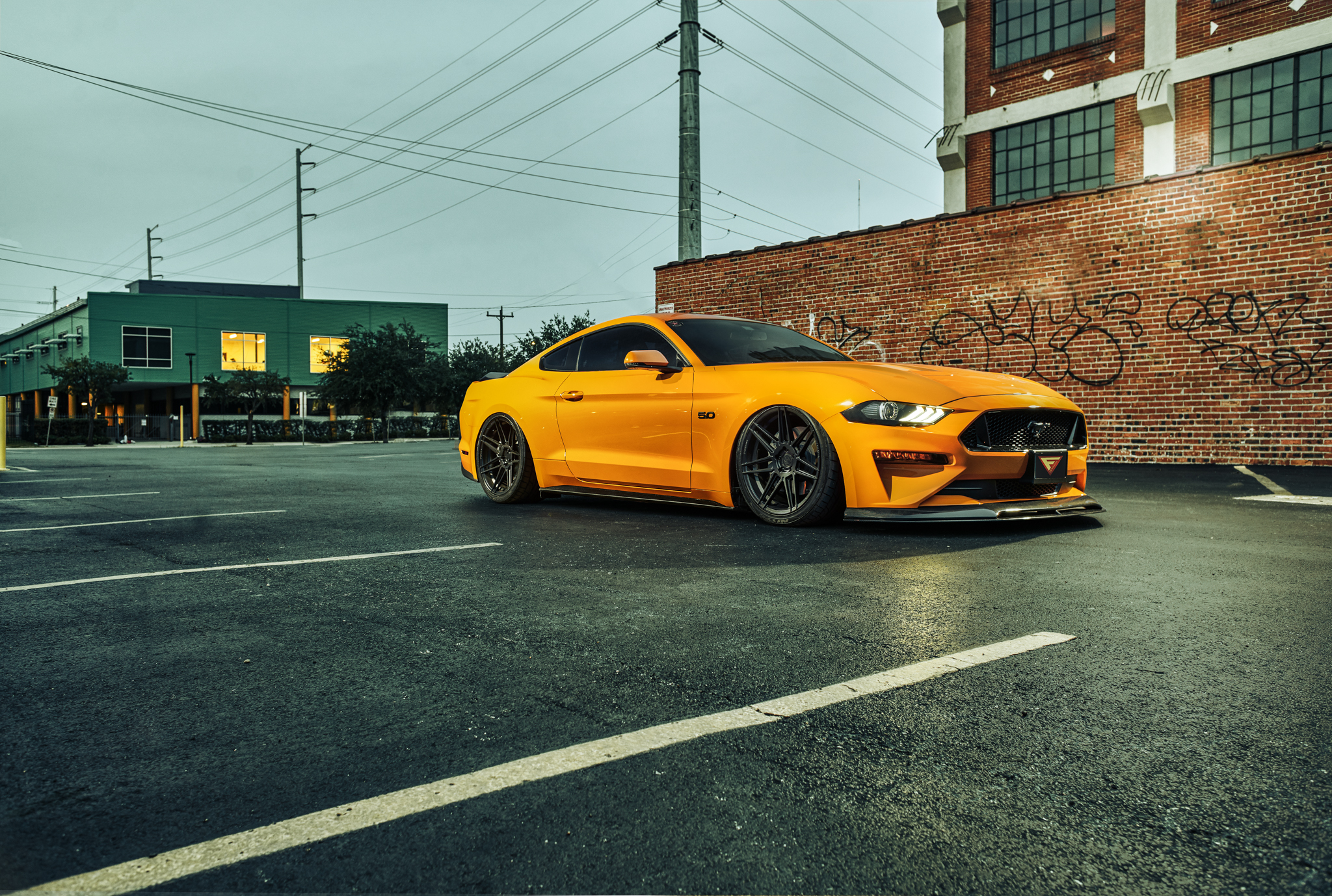 2018 Ford Mustang GT Bagged - FR6 Matte Black (10 of 20)