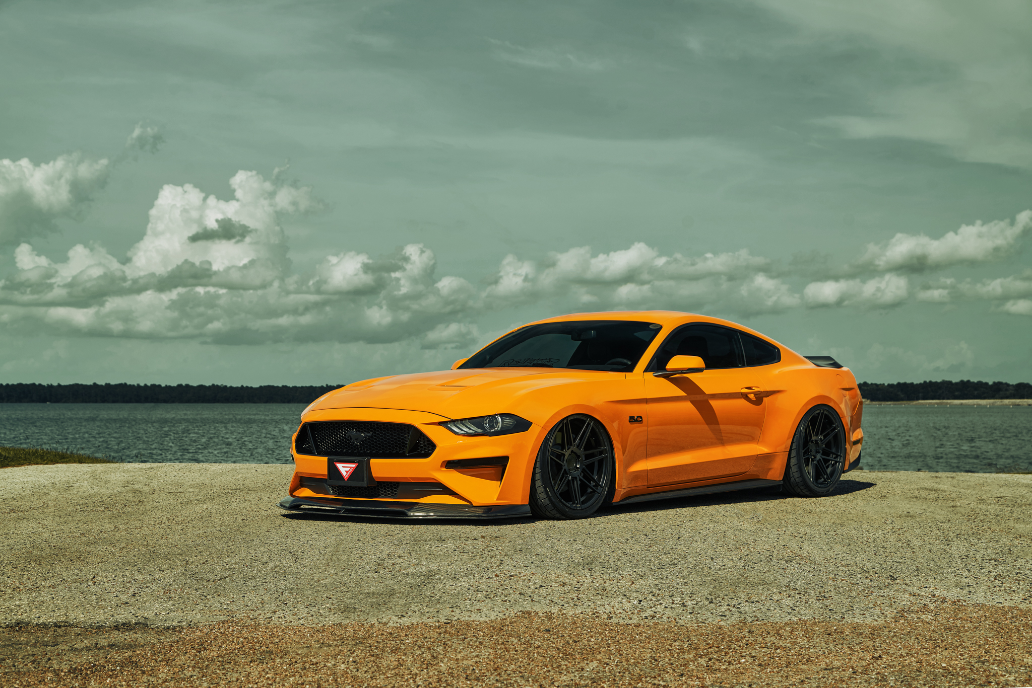 2018 Ford Mustang GT Bagged - FR6 Matte Black (12 of 20)