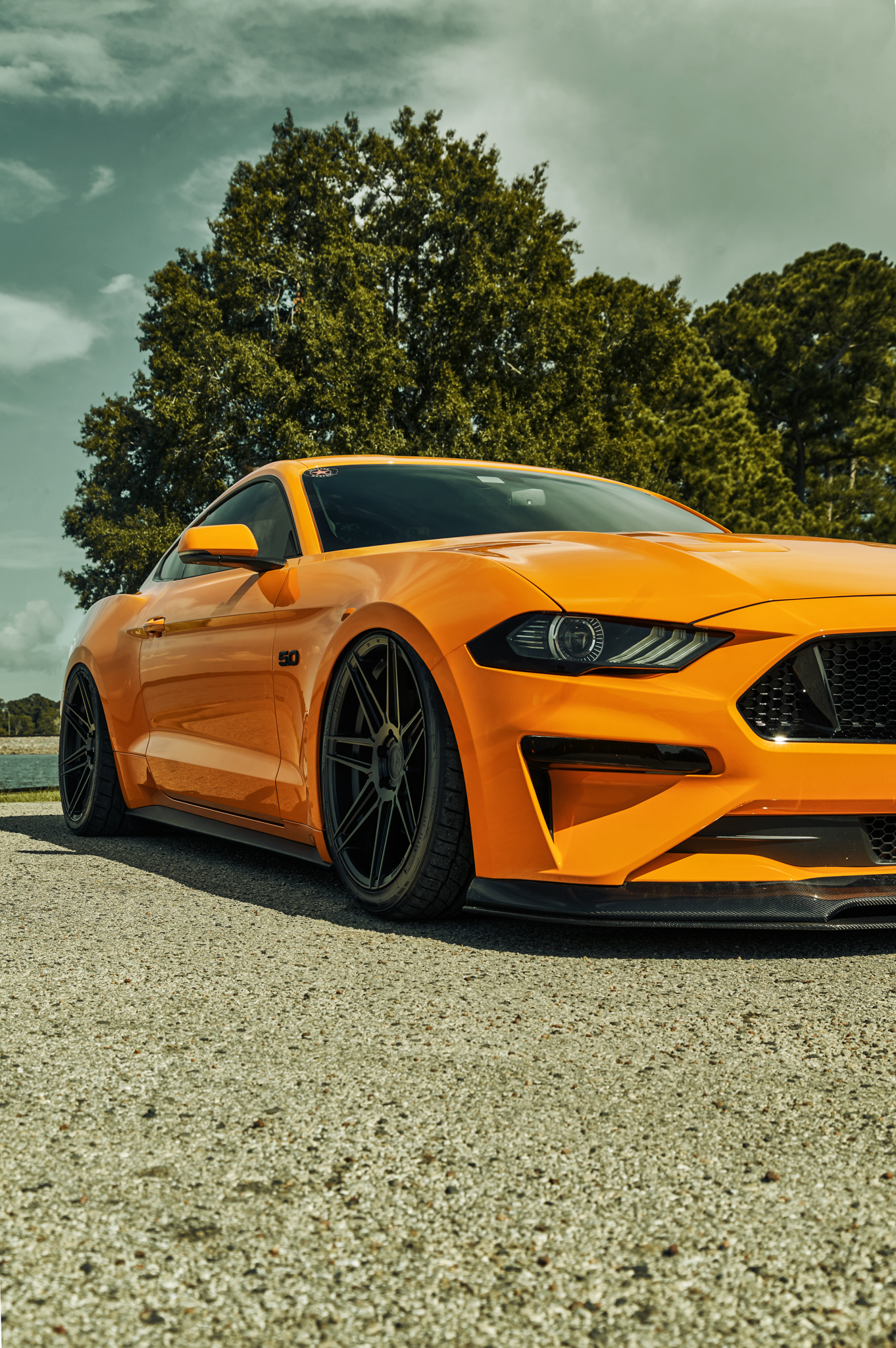 2018 Ford Mustang GT Bagged - FR6 Matte Black (16 of 20)