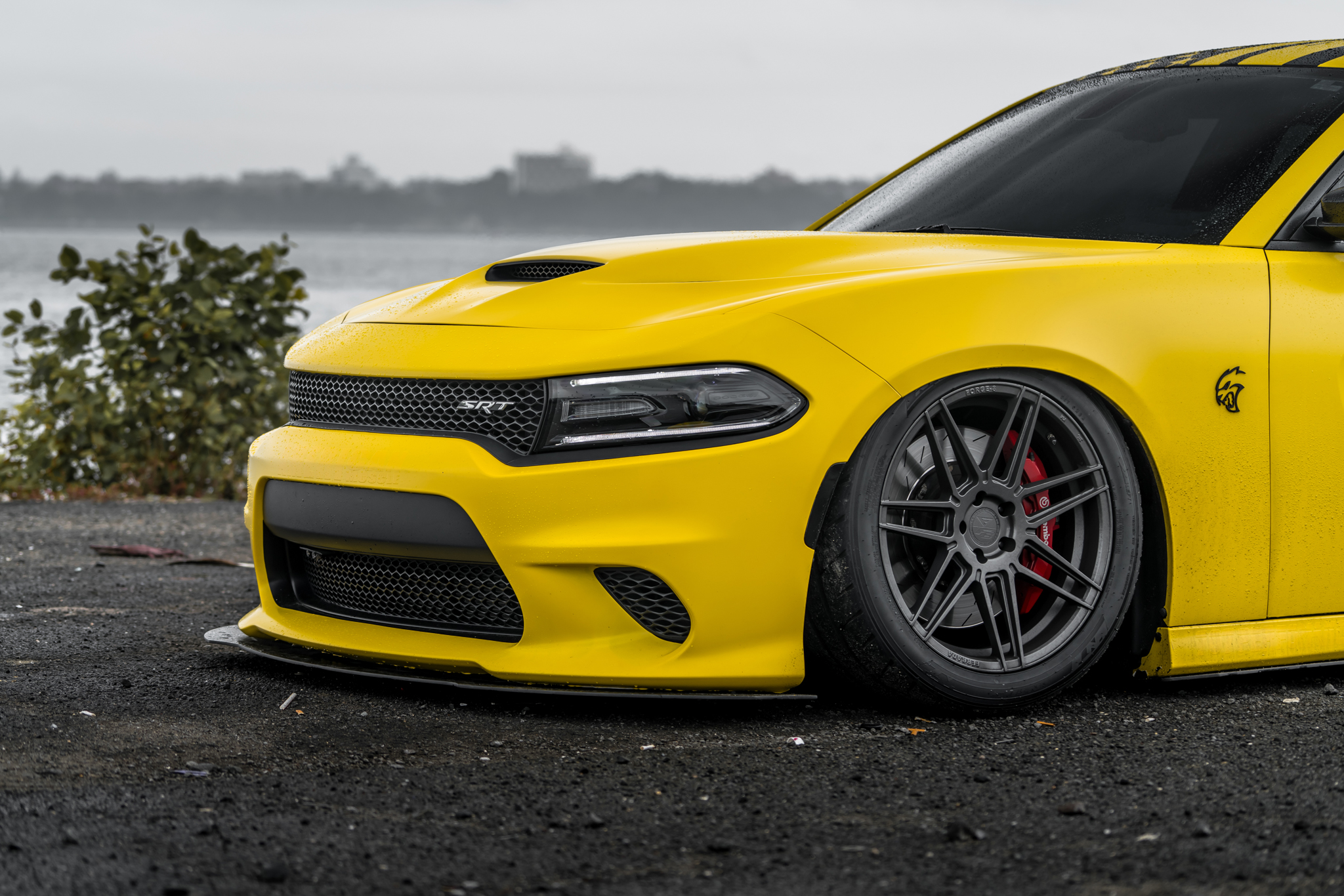 Hellgato - Hellcat Charger - FR6 Graphite (19 of 30)