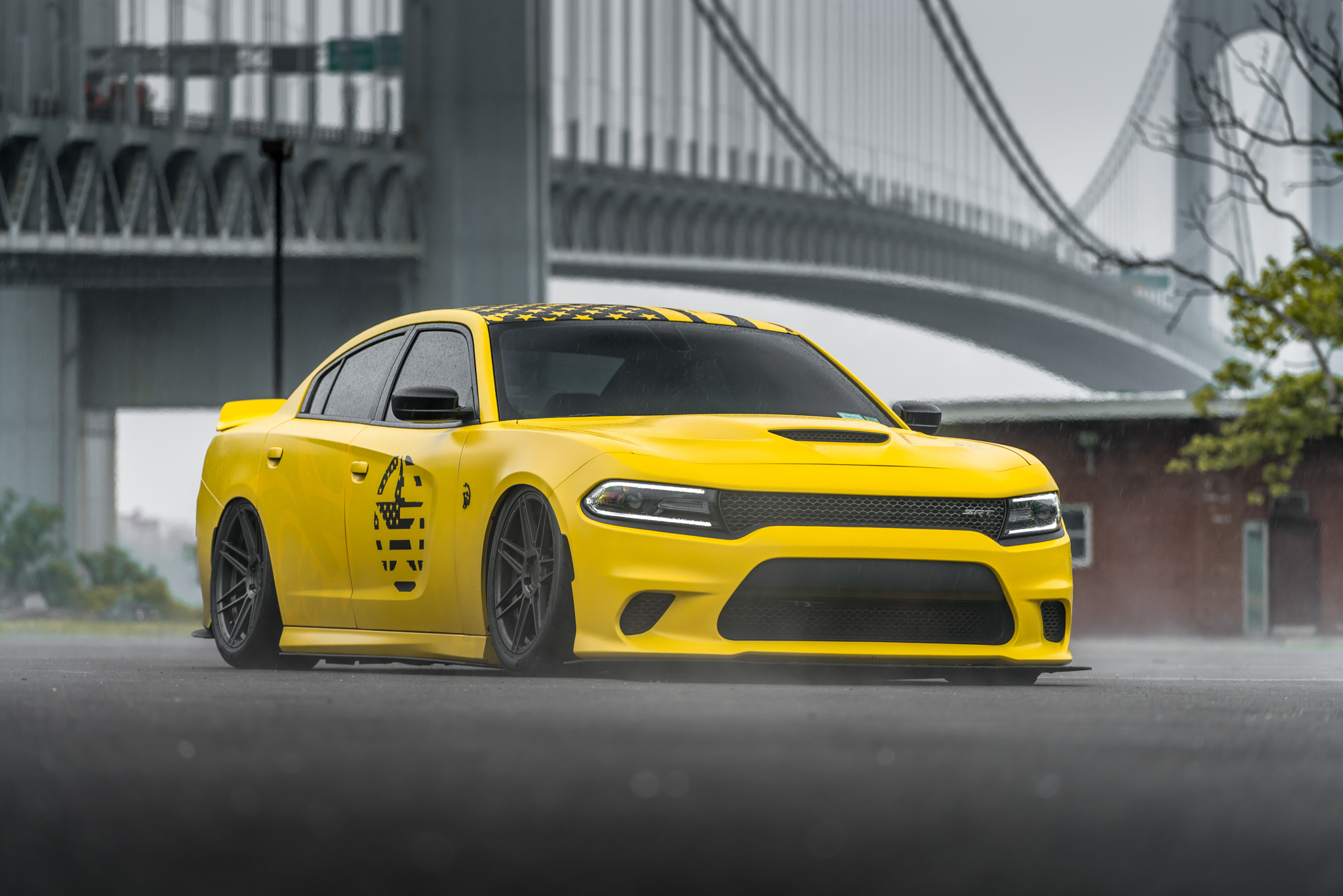 Hellgato - Hellcat Charger - FR6 Graphite (3 of 30)