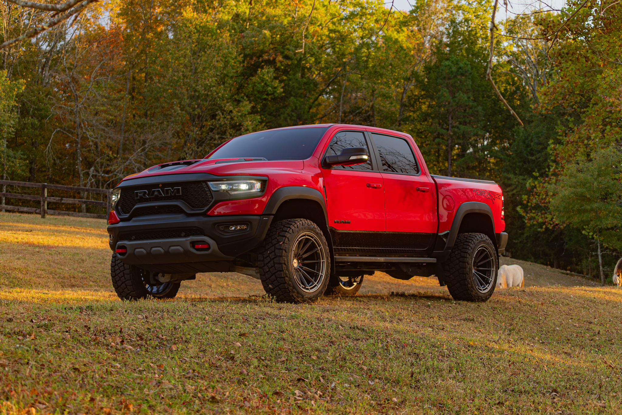 Dodge RAM TRX – FTR14 GG