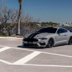 Ford Mustang – FR8 MB