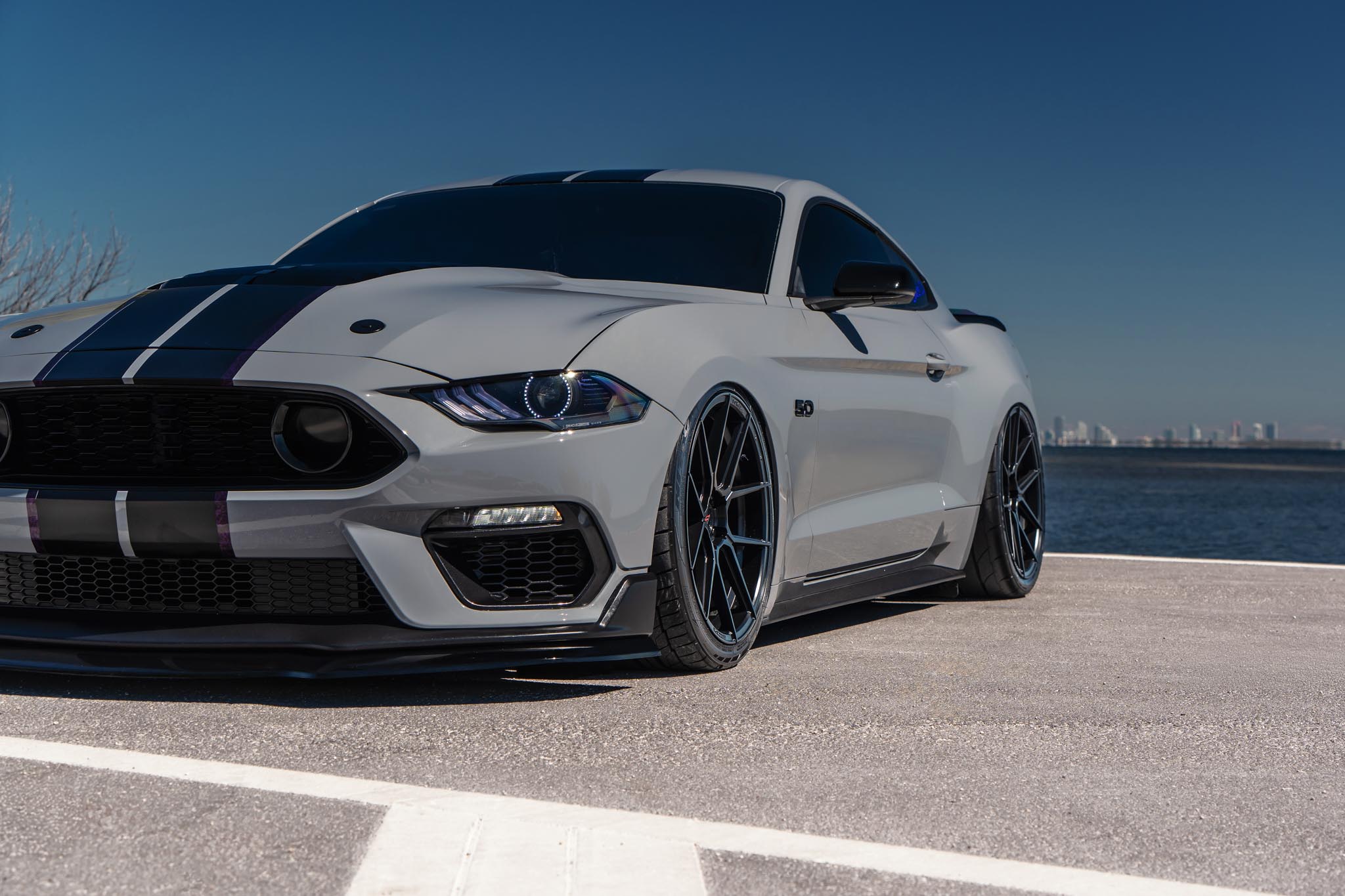 Ford Mustang - FR8 MB (2 of 10)