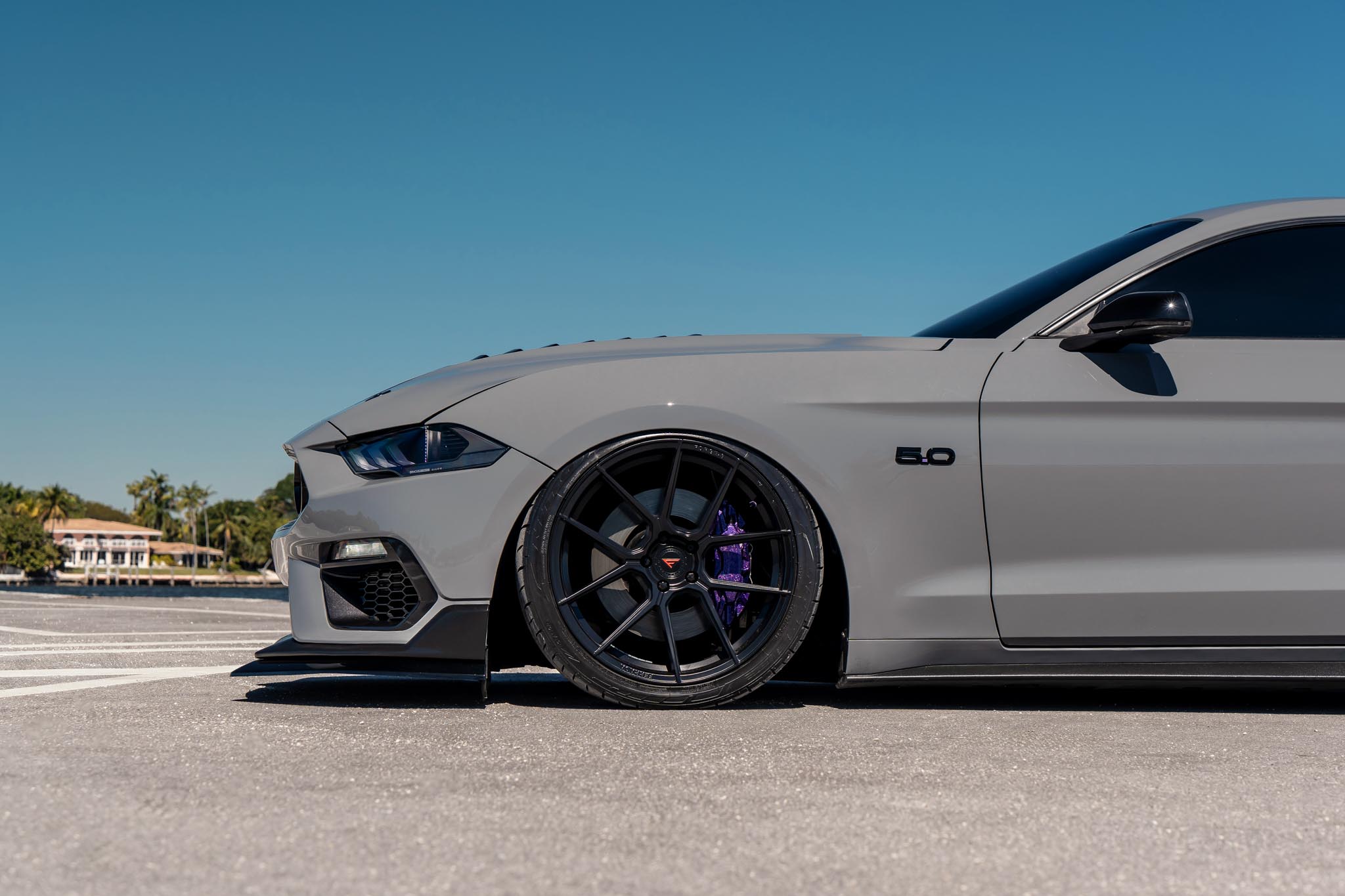 Ford Mustang - FR8 MB (3 of 10)