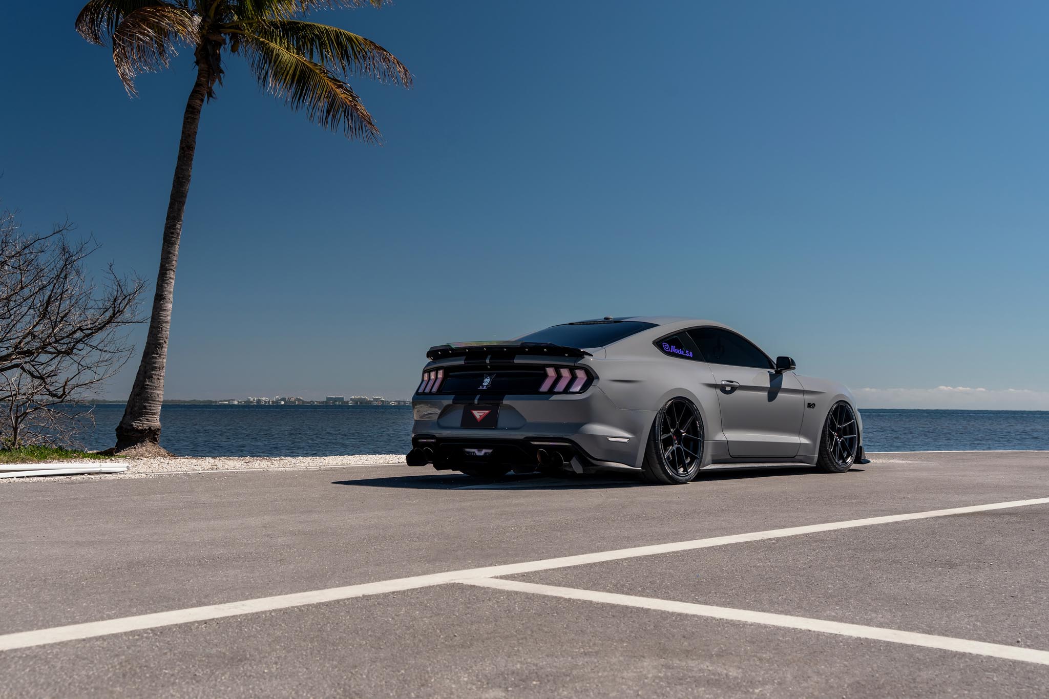 Ford Mustang - FR8 MB (8 of 10)