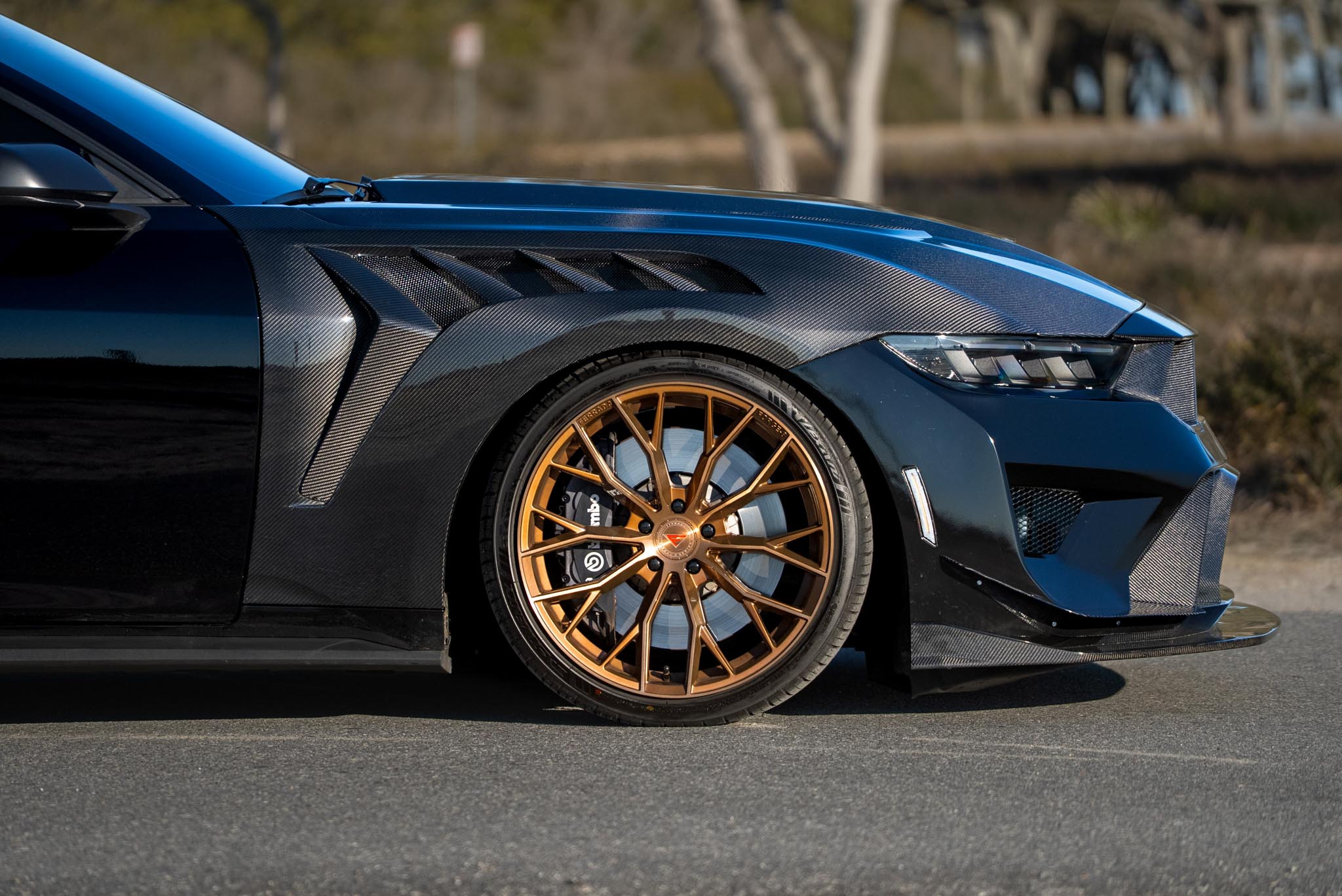 Ford Mustang - FR9 BC (16 of 29)